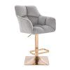 Barhocker mit Lehne AMALFI Velours mit goldenem Vierkantgestell - Hellgrau