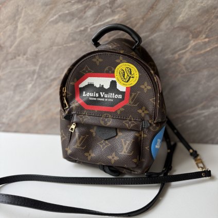 Louis Vuitton Palm Springs Mini