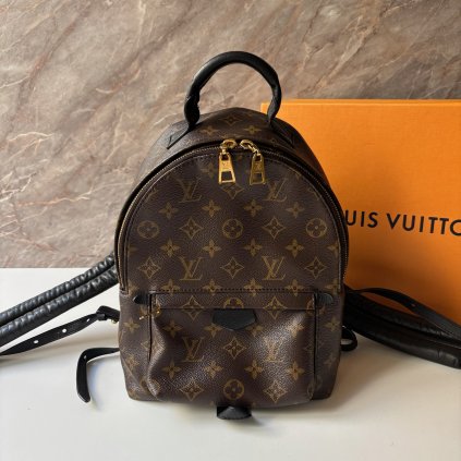 Louis Vuitton Palm Springs PM Monogram