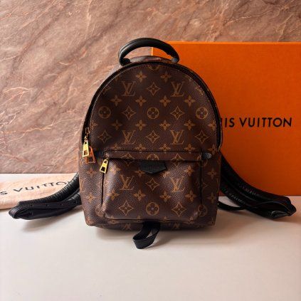 Louis Vuitton Palm Springs PM Monogram