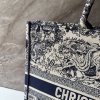 Dior Book Tote