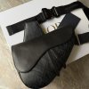 Dior Homme Saddle crossbody