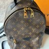 Louis Vuitton Palm Springs PM Monogram