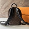 Louis Vuitton Palm Springs PM Monogram
