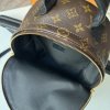 Louis Vuitton Palm Springs PM Monogram