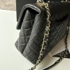 Chanel Coco handle medium