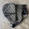 Dior Oblique saddle ledvinka