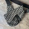 Dior Oblique saddle ledvinka