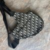 Dior Oblique saddle ledvinka