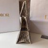 Dior Oblique book tote