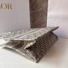 Dior Oblique book tote