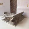 Dior Oblique book tote