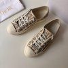 Christian Dior Oblique šedivé tenisky