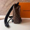 Louis Vuitton Palm Springs PM Monogram