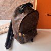 Louis Vuitton Palm Springs PM Monogram