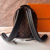 Louis Vuitton Palm Springs PM Monogram