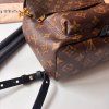 Louis Vuitton Palm Springs PM Monogram