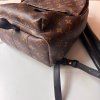 Louis Vuitton Palm Springs PM Monogram
