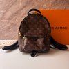 Louis Vuitton Palm Springs PM Monogram