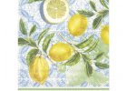 Citrus Limon