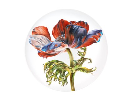 0041678 us floris prato papoila