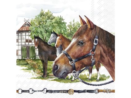Velké ubrousky 33x33 cm NIKAS FAMILY IHR