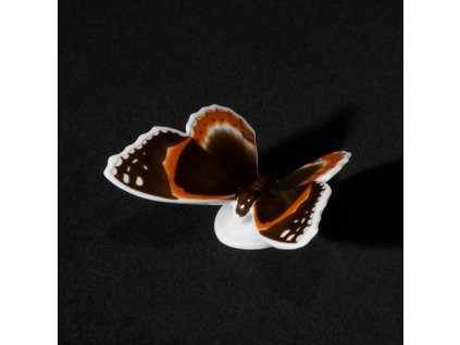 Aelteste Volkstedter Porcelánový motýl Admirál