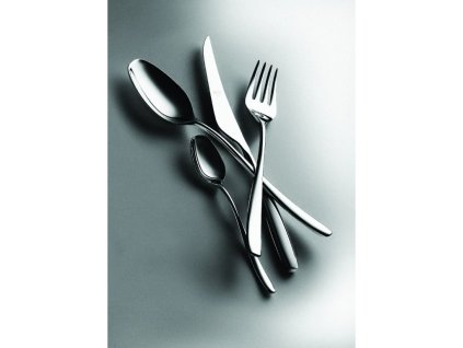 Jednotlivé příbory AVANGUARDIA, lesklá (Jednotlivé kusy Naběračka na omáčky)