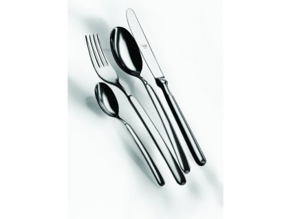 Jednotlivé příbory GOCCIA, lesklá (Jednotlivé kusy Naběračka na omáčky)