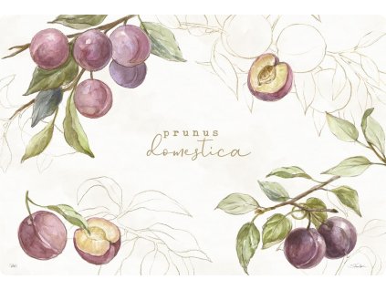 IHR COUNTRY PLUMS cream plastová prostírka