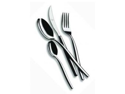 145165 2 sada priboru 4 kusy pro 1 osobu edera leskla