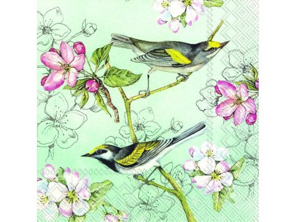 IHR BIRDS SYMPHONY green malé ubrousky 25x25 cm