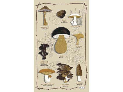 Les champignons