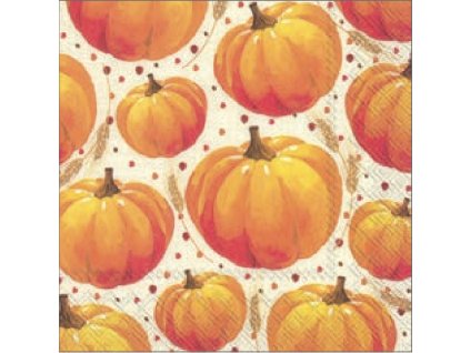 IHR PUMPKIN ALLOVER malé ubrousky 25x25 cm