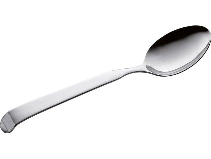 Servírovací lžíce 20 cm P-9000 ASTRA