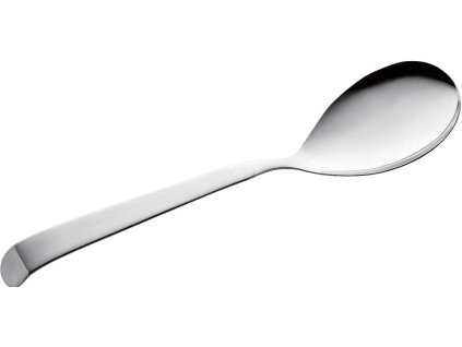 Servírovací lžíce 30 cm P-9000 ASTRA