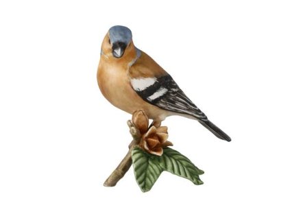 Socha Chaffinch, Goebel