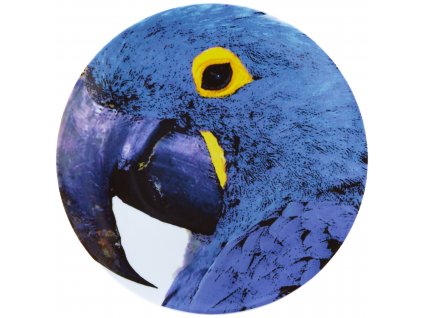 Vista Alegre Olhar o Brasil Podkladový talíř Macaw