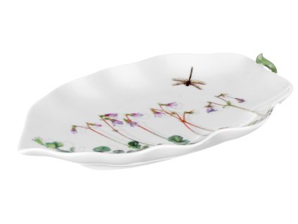 Prairie Miska list lilku, Vista Alegre