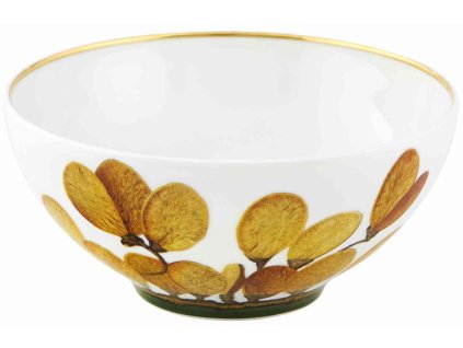 AMAZÓNIA Miska na müsli, Vista Alegre