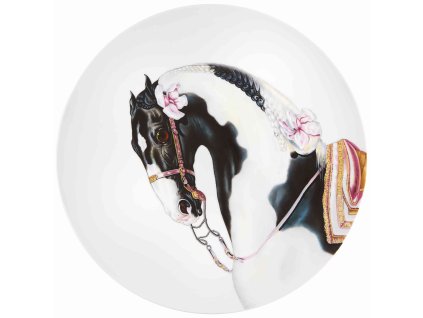 CABALLUS Talíř Stallion, Vista Alegre