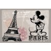 Egan DISNEY COFFEE IN THE CITY Prostírka PARIS IN POLYPROPYLENE ITC CM. 45X30