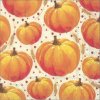 IHR PUMPKIN ALLOVER malé ubrousky 25x25 cm