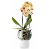 Květináč na orchideje Ø15cm Frosted  Eva Solo