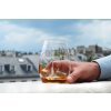 159593 3 sklenice na whisky sada 2 ks l exploreur atelier du vin