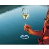 Riedel High Performance CHAMPAGNE GLASS BLACK STEM