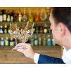 Degustační sklenice na rum  MIXING SET sada 4 kusy  Riedel