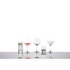 Malá sklenice na Whisky sada 4 kusy ECHO  Zwiesel Glas