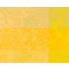Garnier Thiebaut MILLE ESPRIT JARDIN Solaire Prostírka 50 x 40 cm s nešpinivou úpravou