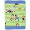 Ručník 37 x 50 cm SOCCER  Feiler